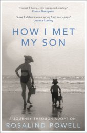 book How I Met My Son: A Journey Through Adoption