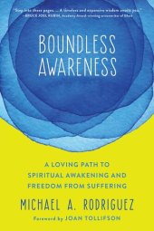 book Boundless Awareness: A Loving Path to Spiritual Awakening and Freedom from Suffering