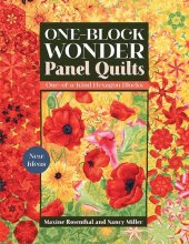 book One-Block Wonder Panel Quilts: New Ideas; One-of-a-Kind Hexagon Blocks