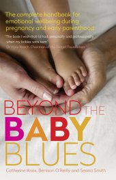 book Beyond the Baby Blues: The Complete Handbook for Emotional Wellbeing During Early Parenthood