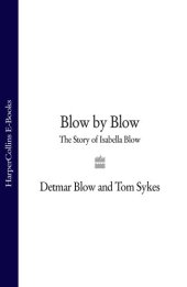 book Blow by Blow: The Story of Isabella Blow