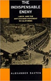 book The Indispensable Enemy: Labor and the Anti-Chinese Movement in California