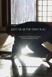 book Just Grab the Dust Rag: Confessions of a Deluded Zen Student Who Never Learned a Thing