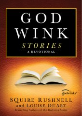 book Godwink Stories: A Devotional