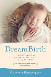 book DreamBirth: Transforming the Journey of Childbirth Through Imagery