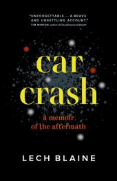 book Car Crash: A Memoir of the Aftermath