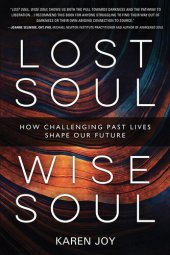 book Lost Soul, Wise Soul: How Challenging Past Lives Shape Our Future