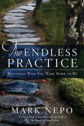 book The Endless Practice: Becoming Who You Were Born to Be