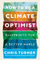 book How to Be a Climate Optimist: Blueprints for a Better World