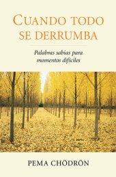 book Cuando todo se derrumba: Palabras sabias para momentos dificiles