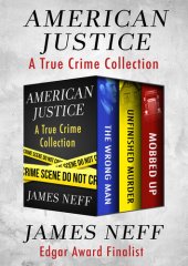 book American Justice: A True Crime Collection