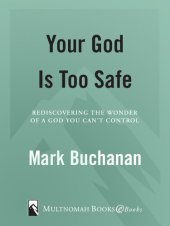 book Your God Is Too Safe: Rediscovering the Wonder of a God You Can't Control