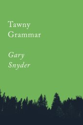 book Tawny Grammar: Essays