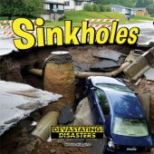 book Sinkholes