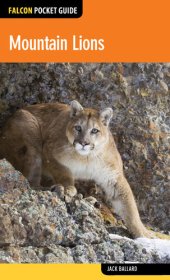 book Mountain Lions