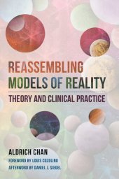 book Reassembling Models of Reality: Theory and Clinical Practice (Norton Series on Interpersonal Neurobiology)