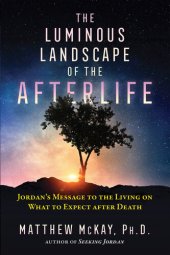 book The Luminous Landscape of the Afterlife: Jordan's Message to the Living on What to Expect after Death