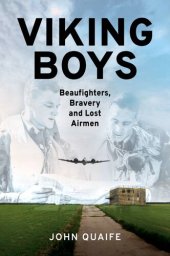 book Viking Boys: Beaufighters, Bravery and Lost Airmen