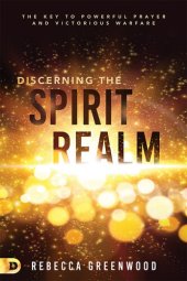 book Discerning the Spirit Realm: The Key to Powerful Prayer and Victorious Warfare