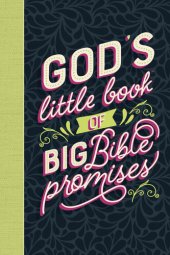 book God's Little Book of Big Bible Promises