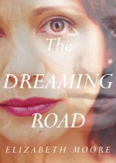 book The Dreaming Road