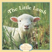 book The Little Lamb