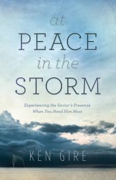 book At Peace in the Storm: Experiencing the Savior's Presence When You Need Him Most