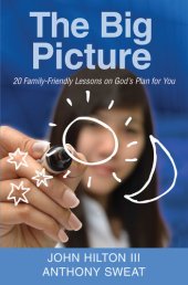 book The Big Picture: 20 Family-Friendly Lessons on God's Plan for You