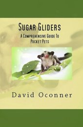 book Sugar Gliders