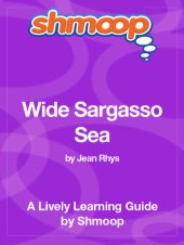 book Wide Sargasso Sea