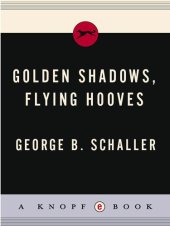 book Golden Shadows