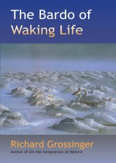 book The Bardo of Waking Life