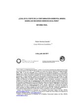 book ¿CUÁL ES EL COSTO DE LA CONTAMINACIÓN AMBIENTAL MINERA SOBRE LOS RECURSOS HÍDRICOS EN EL PERÚ?* INFORME FINAL