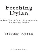 book Fetching Dylan: A True Tale of Canine Domestication in Leaps and Bounds