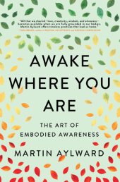 book Awake Where You Are: The Art of Embodied Awareness