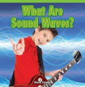 book What Are Sound Waves?