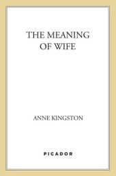 book The Meaning of Wife: A Provocative Look at Women and Marriage in the Twenty-First Century