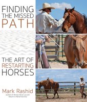 book Finding the Missed Path: The Art of Restarting Horses