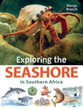 book Exploring the Seashore in Southern Africa