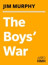 book The Boys' War: Confederate and Union Soldiers Talk About the Civil War