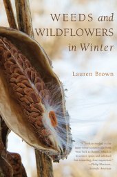 book Weeds and Wildflowers in Winter