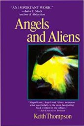 book Angels and Aliens: UFO's and the Mythic Imagination