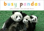 book Busy Pandas