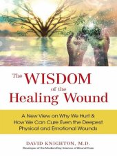 book The Wisdom of the Healing Wound: A New View on Why We Hurt & How We Can Cure Even the Deepest Physical and Emotional Wounds