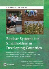 book Biochar Systems for Smallholders in Developing Countries: Leveraging Current Knowledge and Exploring Future Potential for Climate-Smart Agriculture