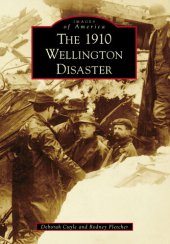 book The 1910 Wellington Disaster