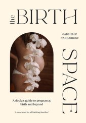 book The Birth Space: A Doula's Guide to Pregnancy, Birth and Beyond