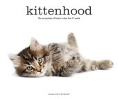 book Kittenhood: Life-size Portraits of Kittens in Their First 12 Weeks