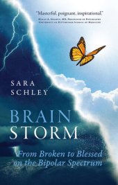 book BrainStorm: From Broken to Blessed on the Bipolar Spectrum