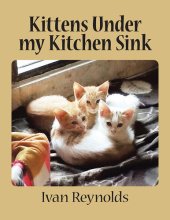 book Kittens Under My Kitchen Sink